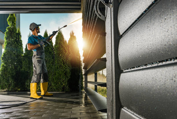 Best Graffiti Removal  in Estero, FL
